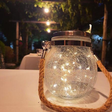 Casa Vidal Guesthouse Tupungato megye Kültér fotó