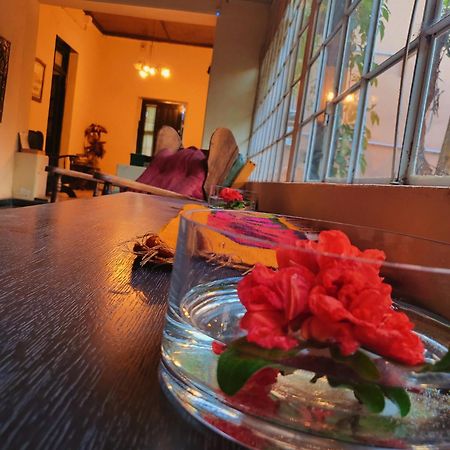 Casa Vidal Guesthouse Tupungato megye Kültér fotó
