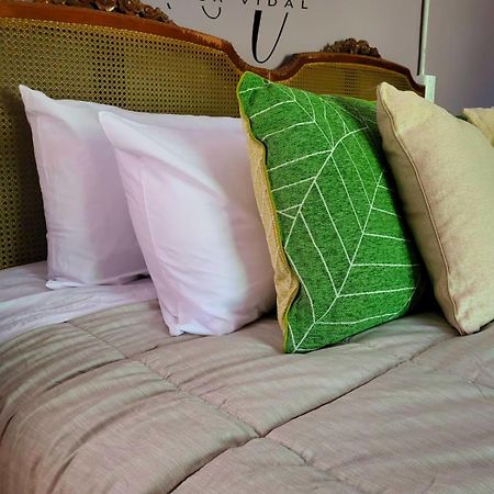 Casa Vidal Guesthouse Tupungato megye Kültér fotó