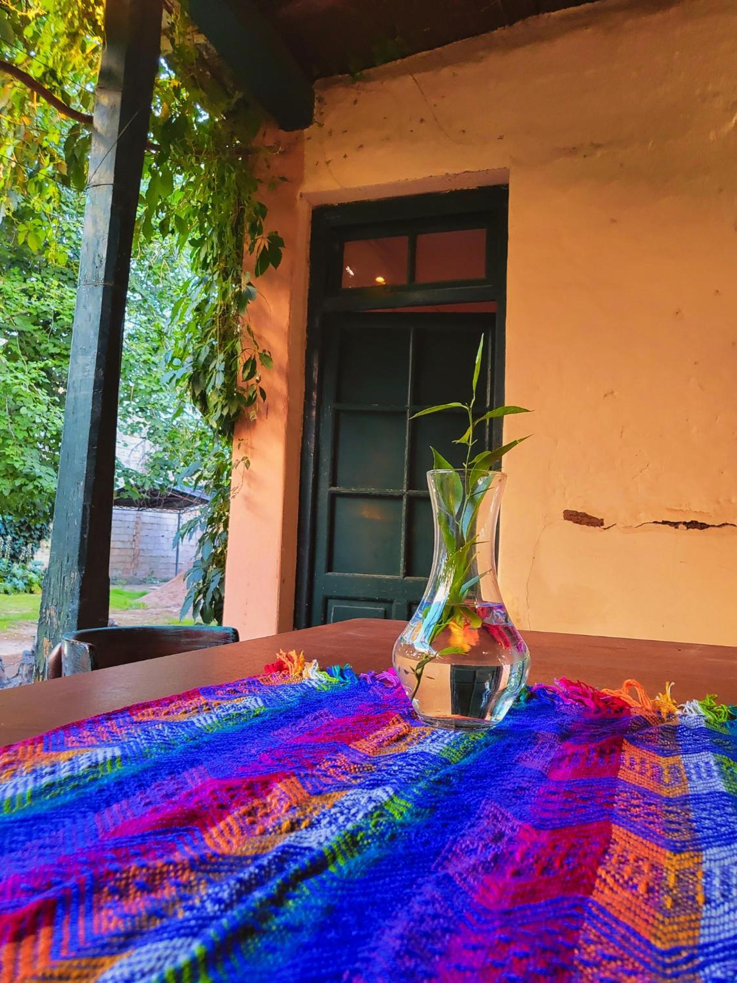 Casa Vidal Guesthouse Tupungato megye Kültér fotó