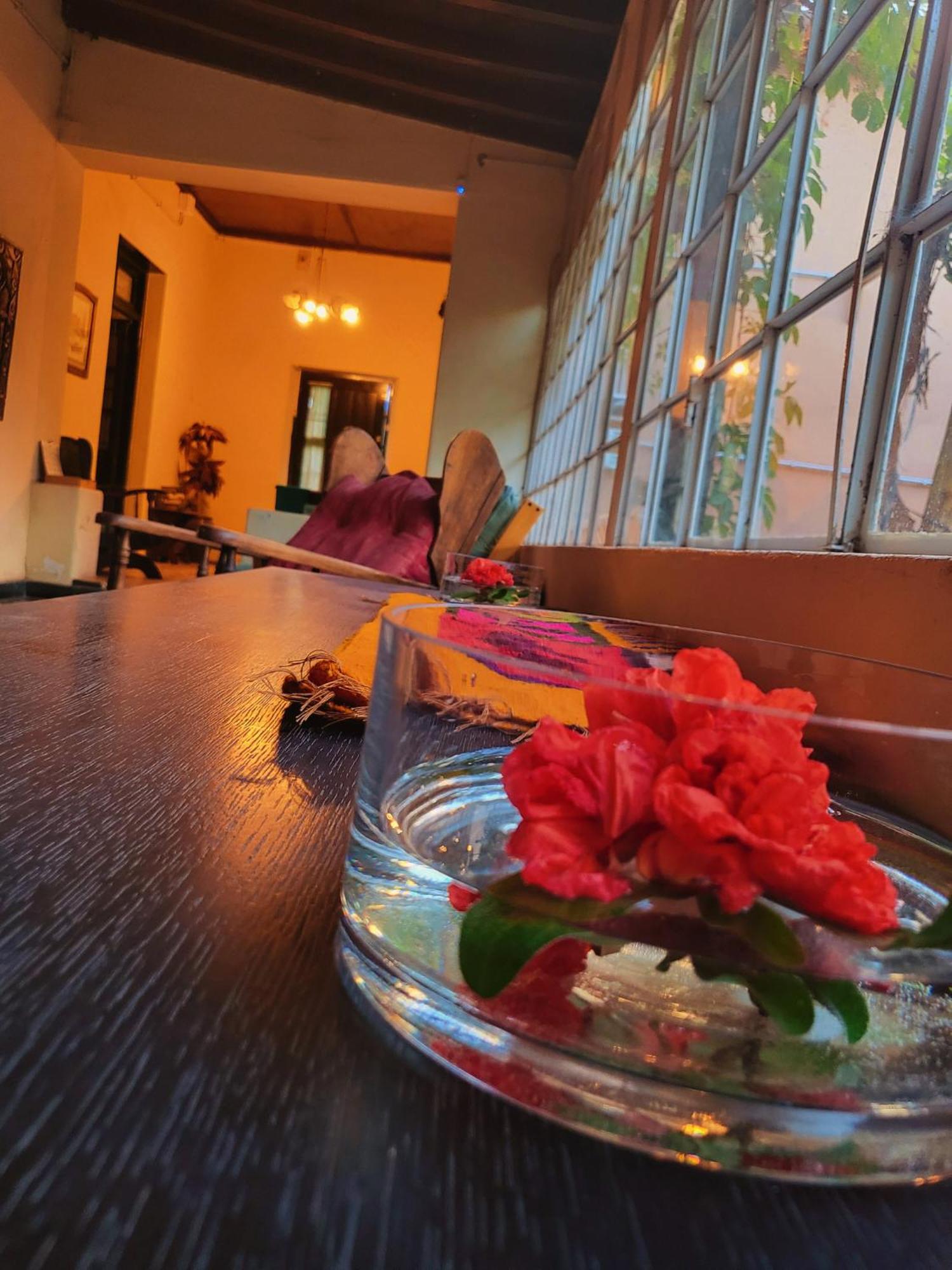 Casa Vidal Guesthouse Tupungato megye Kültér fotó