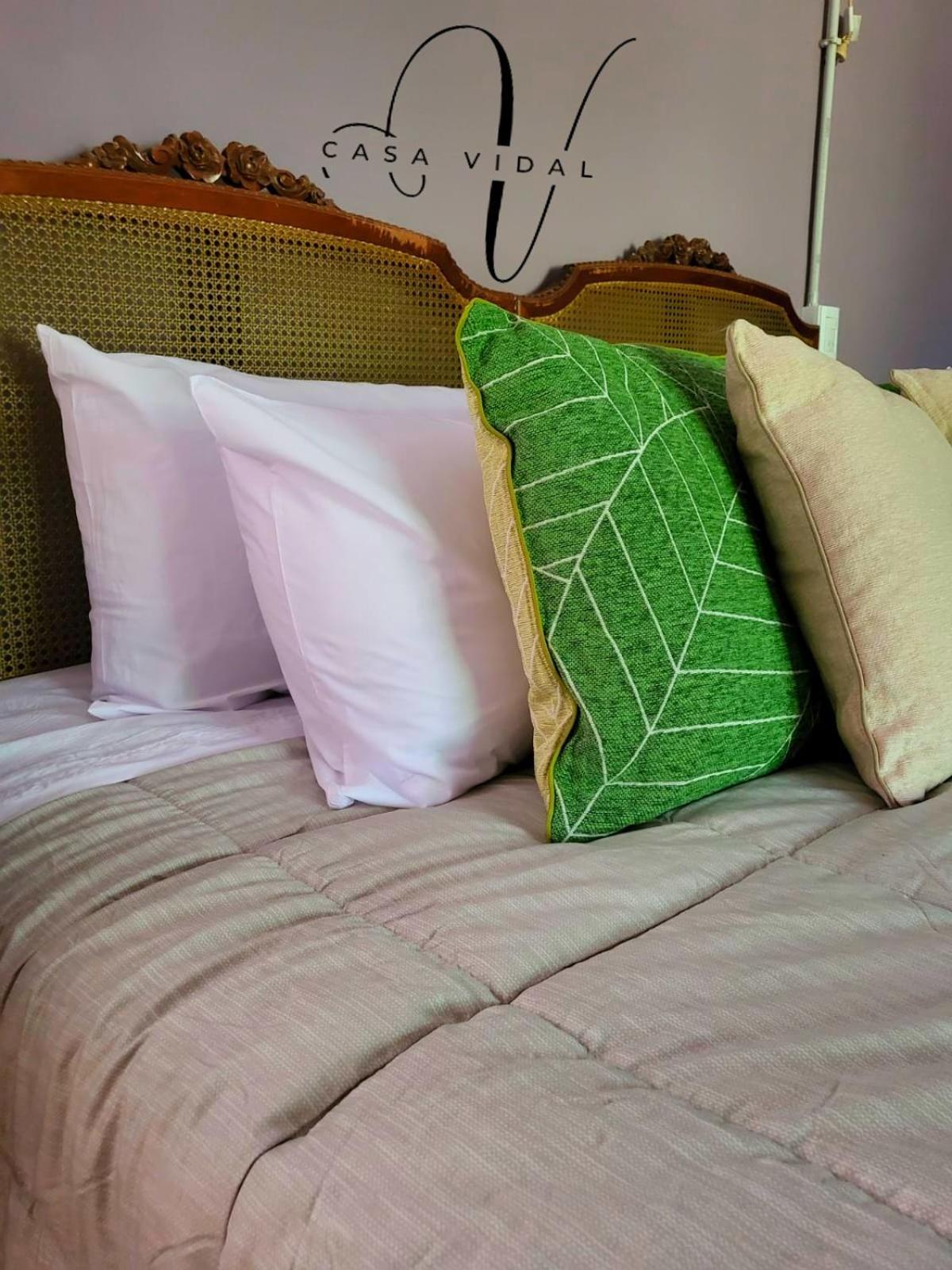 Casa Vidal Guesthouse Tupungato megye Kültér fotó